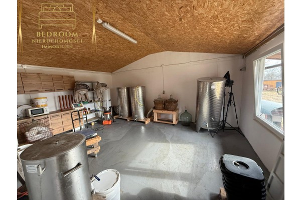 kamieński, Kamień Pomorski, Benice, benice, Dom z pasieką pod Kamieniem Pomorskim - własny sklep firmowy