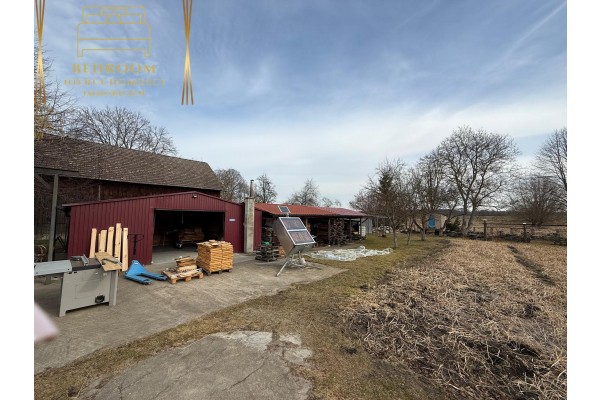 kamieński, Kamień Pomorski, Benice, benice, Dom z pasieką pod Kamieniem Pomorskim - własny sklep firmowy